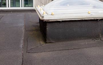 disadvantages of Corris flat roofs